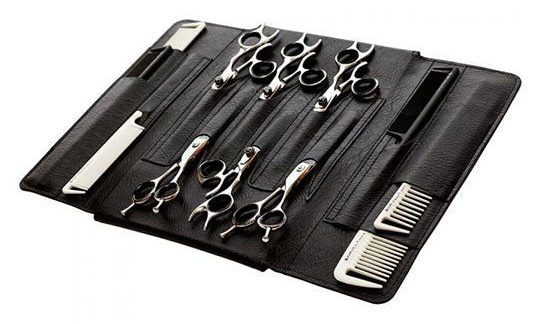 Sam Villa Folding Shear Case black colour.